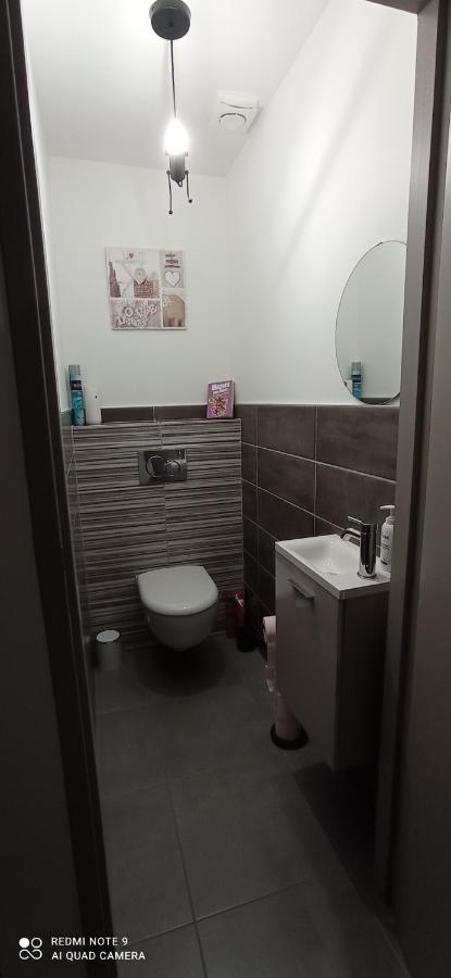 Appartement au centre ville de BACCARAT en RDC Extérieur photo